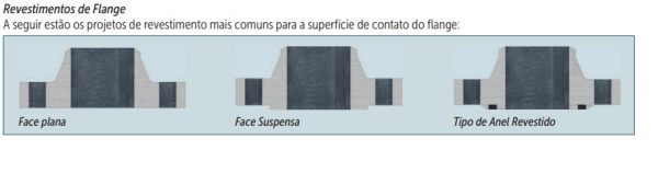 Flanges de Aço Carbono - Imagem 4